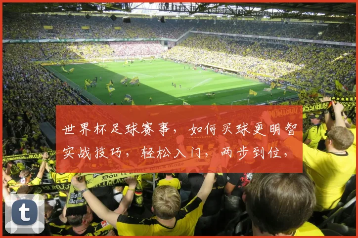 世界杯足球赛事，如何买球更明智实战技巧，轻松入门，两步到位，玩转足球盛宴