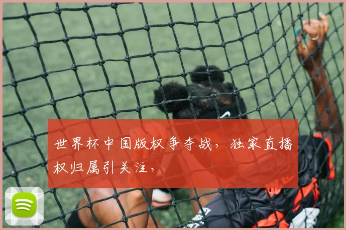 世界杯中国版权争夺战，独家直播权归属引关注，