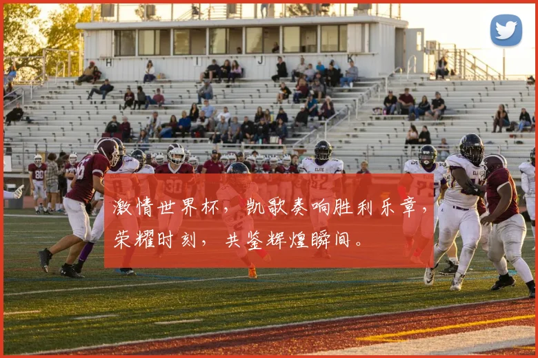 激情世界杯，凯歌奏响胜利乐章，荣耀时刻，共鉴辉煌瞬间。