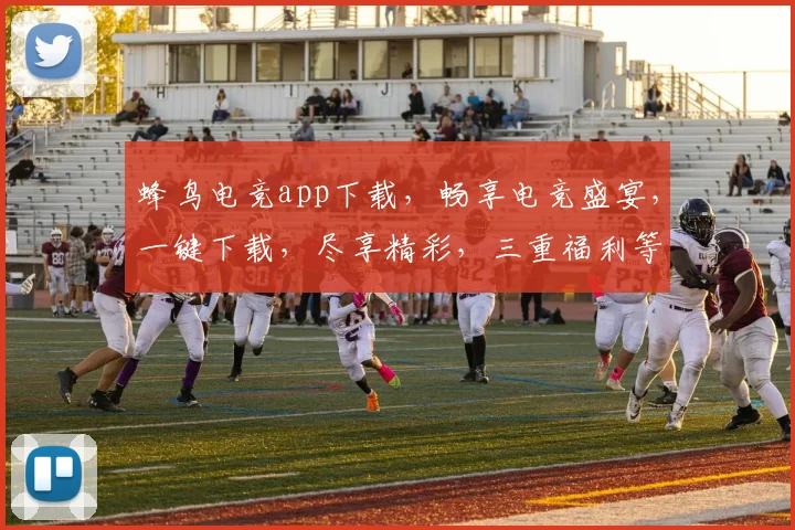 蜂鸟电竞app下载，畅享电竞盛宴，一键下载，尽享精彩，三重福利等你来