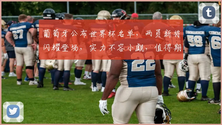 葡萄牙公布世界杯名单，两员新将闪耀登场，实力不容小觑，值得期待